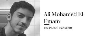 Ali Mohamed El Emam