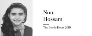 NOur Hossam