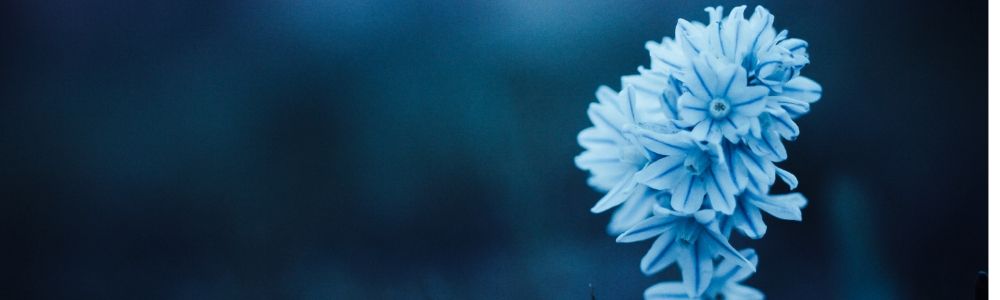 Poem Genre Peace