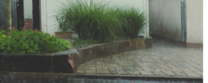 rain in the city